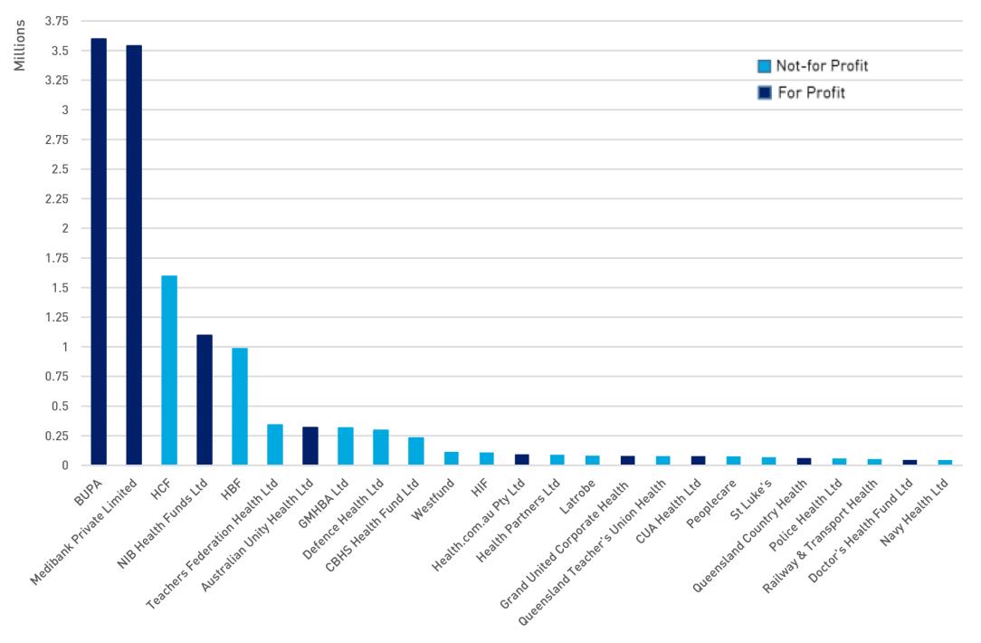 This figure shows the number of members of the top 25 insurers, by market share