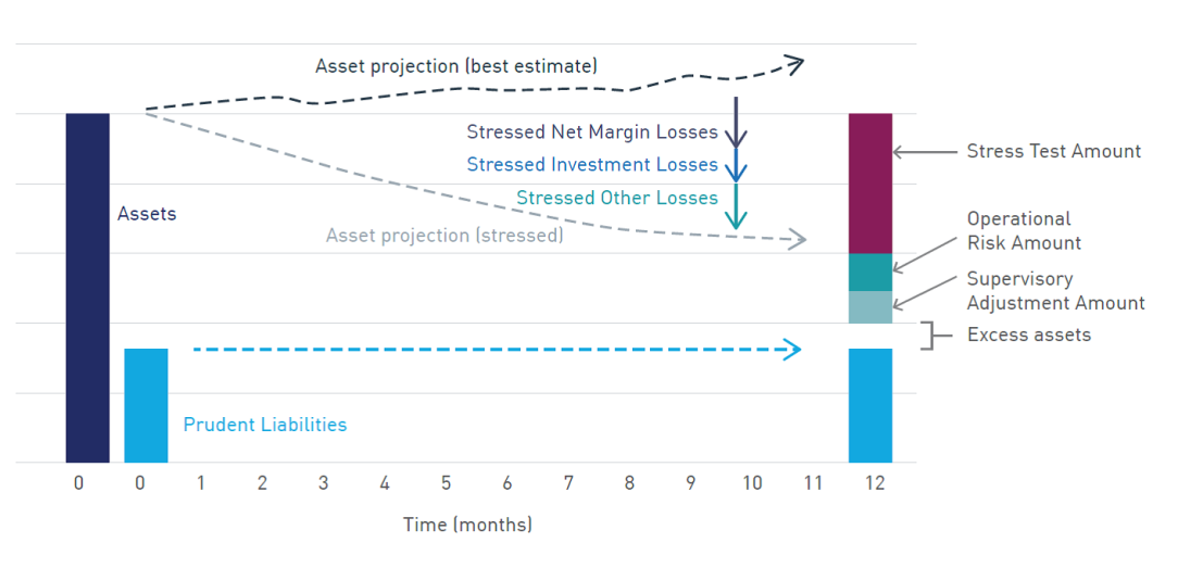 Figure 1. Quantum of assets test