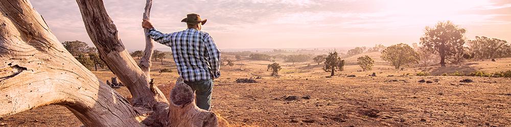 Australian landscape